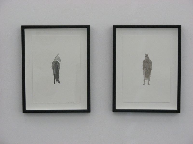 Click the image for a view of: The Stallions 7 and 8. 2011/12. Watercolour on paper. 350 X 250mm each